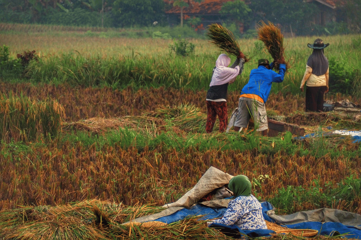 Most people facing hunger are farmers. The ones growing food are the ones going without. Most people facing hunger are farmers. The ones growing food are the ones going without