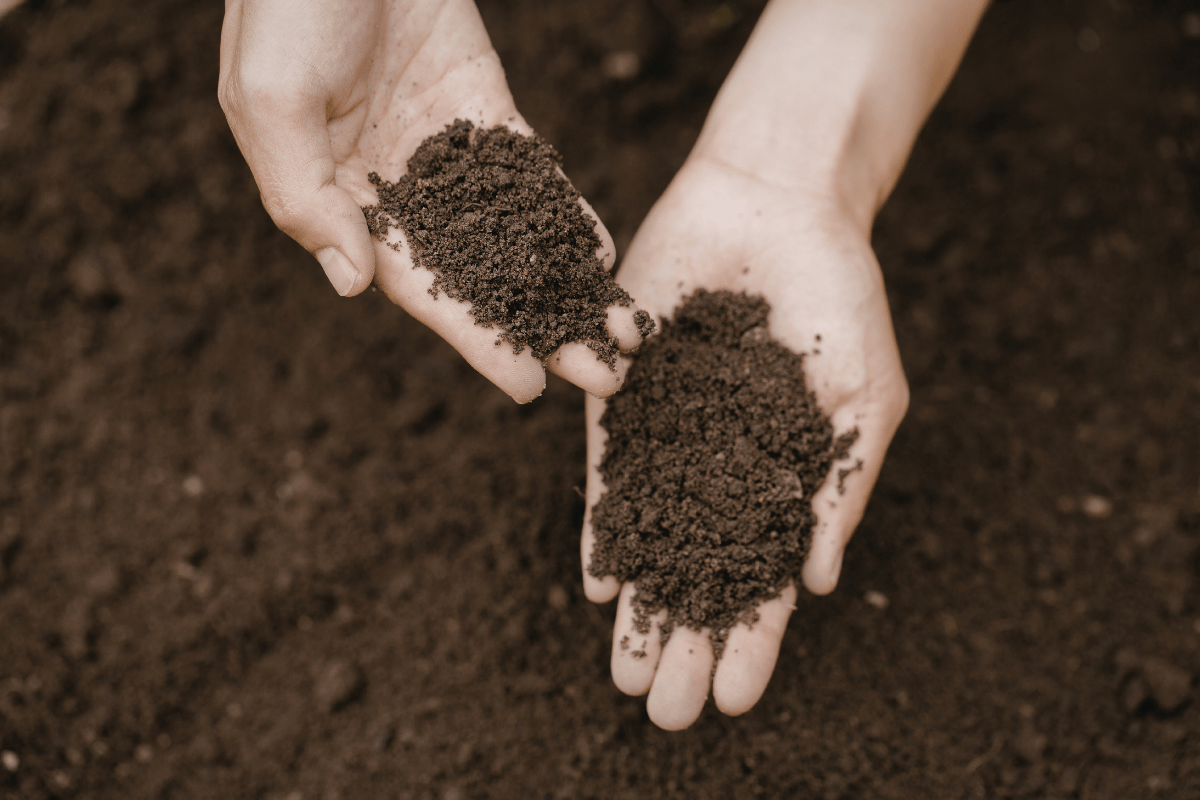 Soil carbon in regenerative agriculture, a Mercosur-EU perspective