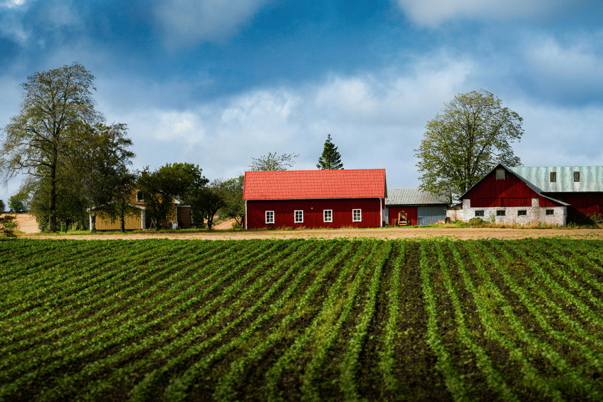 Three farms turning waste into something else, what circular bioeconomy looks like in practice