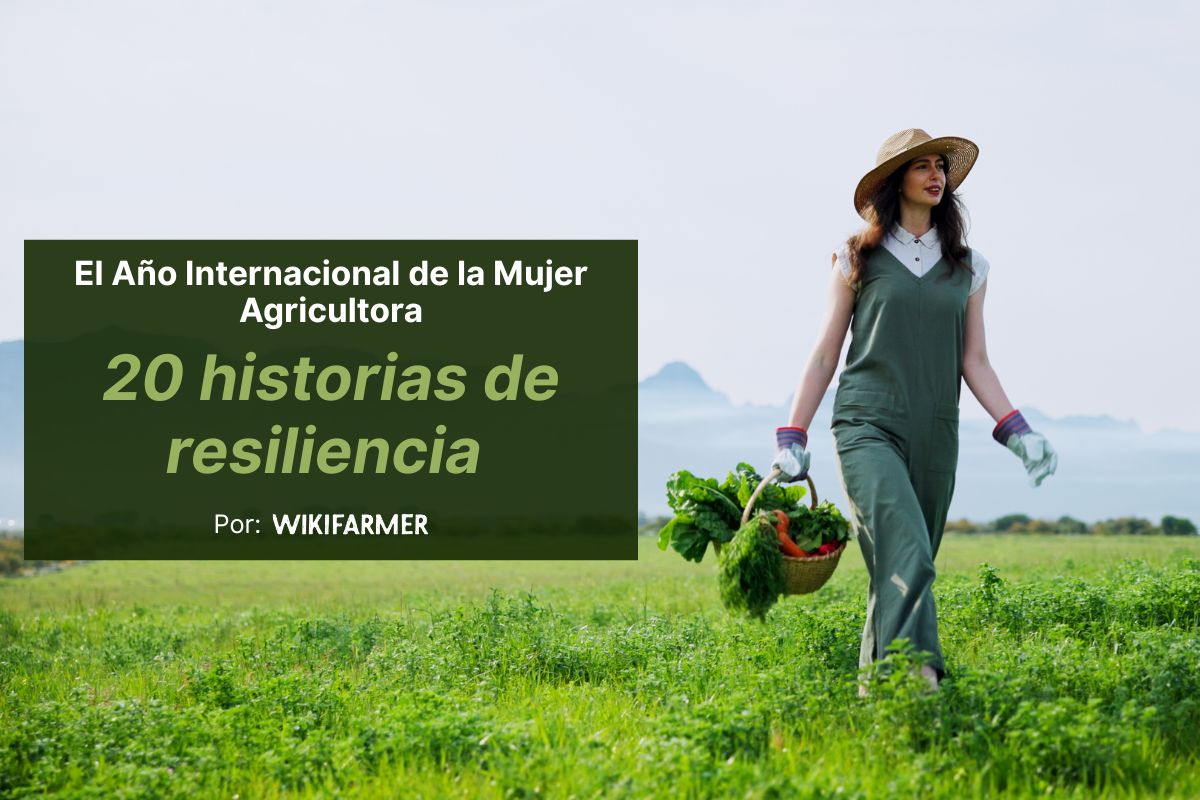 20 historias de resiliencia de mujeres en la agricultura