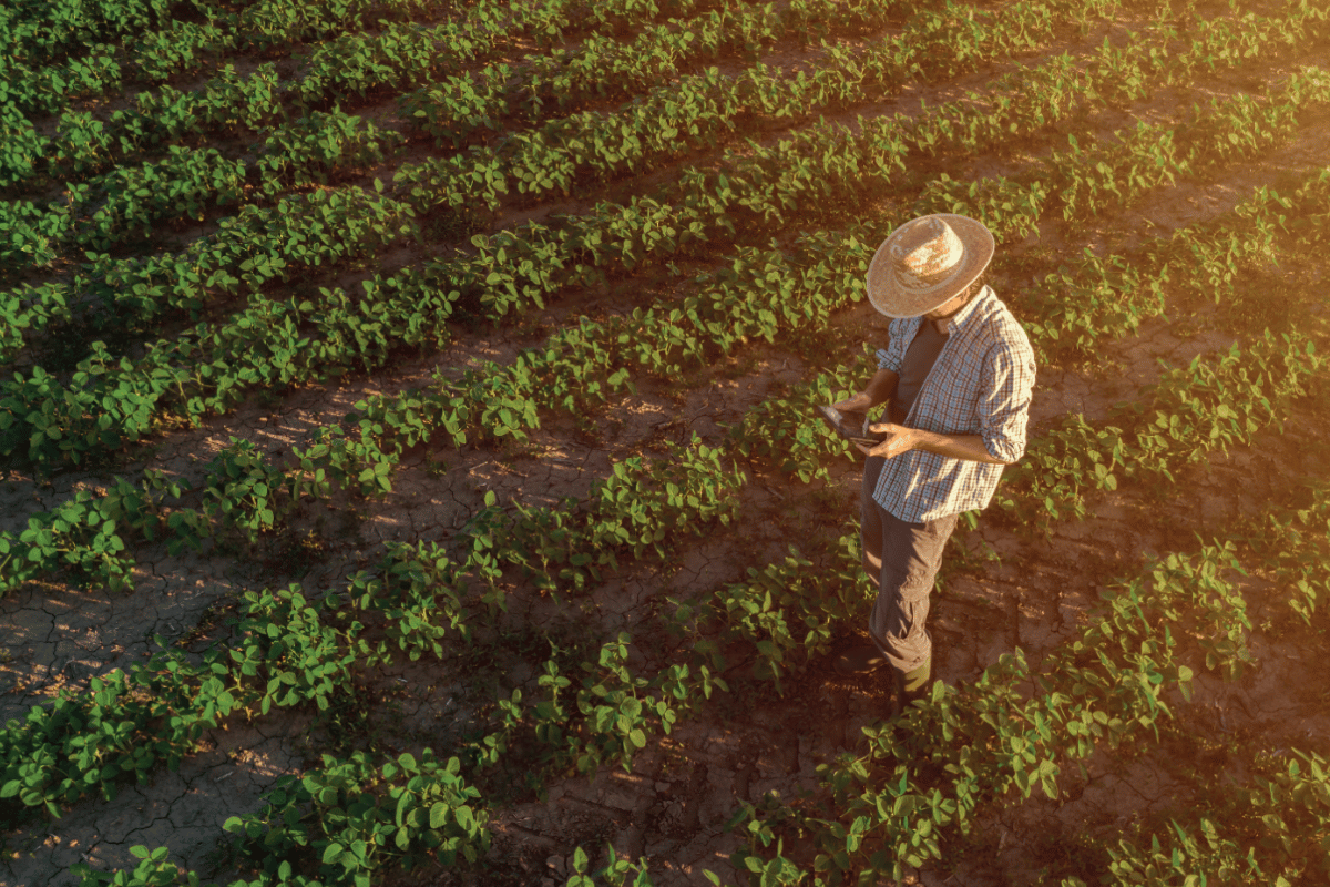 farmclick: Greece's first digital marketplace for agricultural inputs Farmclick is Greece's first digital marketplace for agricultural inputs