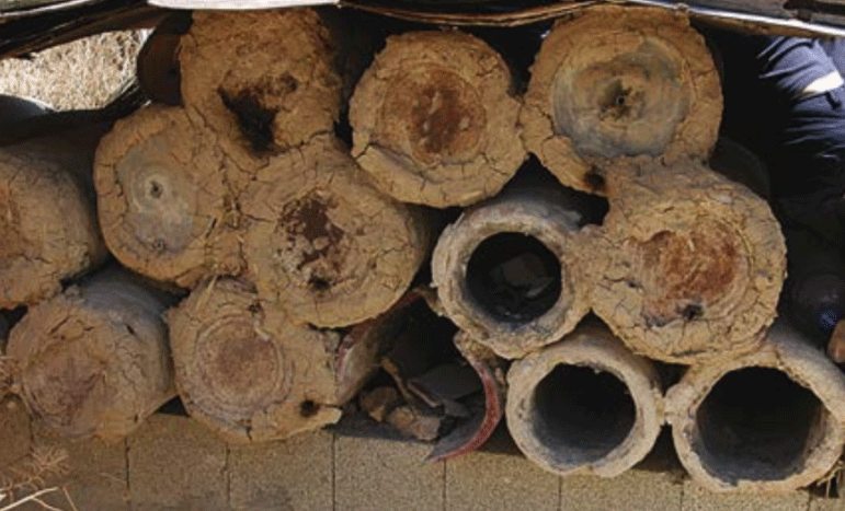 tel-rehov-iron-age-apiary-jordan-valley.gif