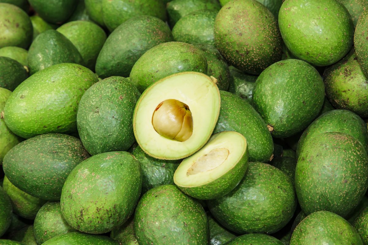A deep dive into the global avocado market