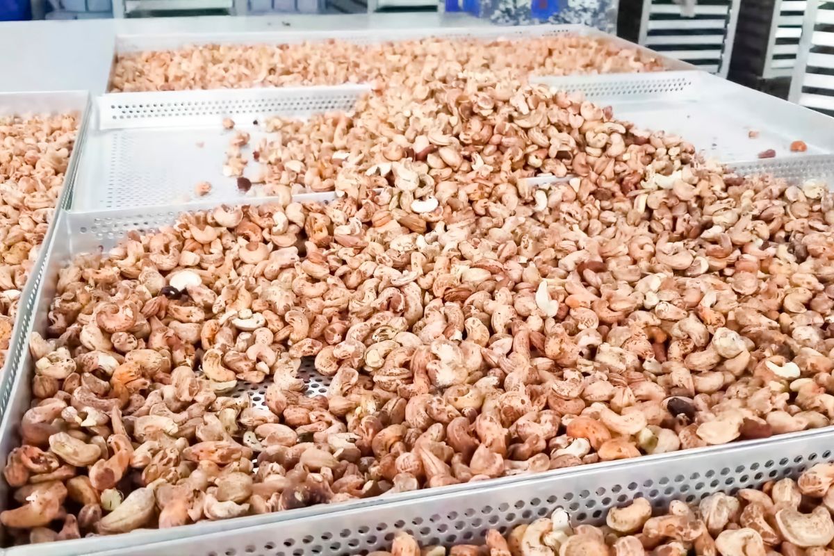 Cashew by-products as livestock feed, science, bioactive compounds, and management Cashew by-products as livestock feed, science, bioactive compounds, and management