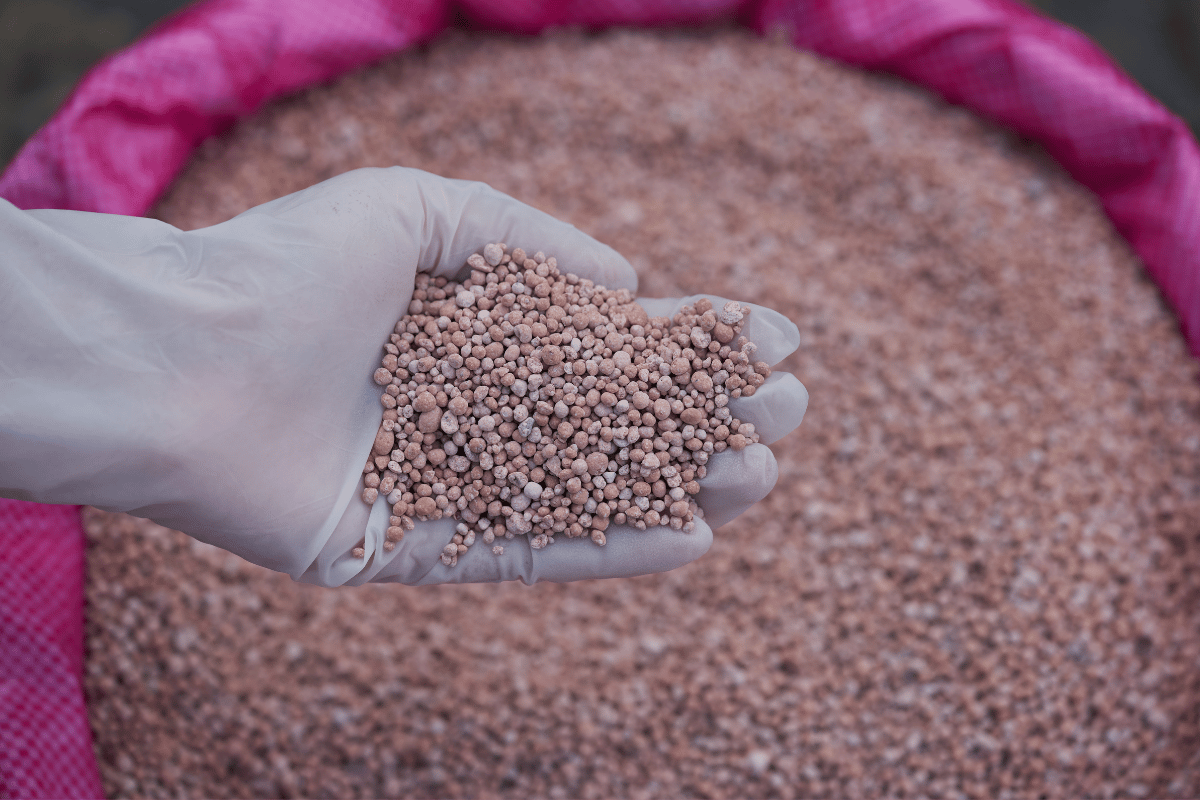 EU proposes €540 million in fertilizer relief as nitrogen prices hit a three-year high Στήριξη 540 εκατ. ευρώ από την ΕΕ καθώς οι τιμές αζώτου φτάνουν σε υψηλό τριετίας