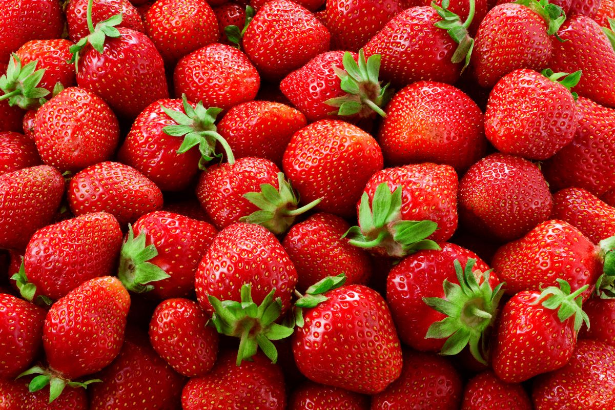European berry production shifts north, strawberry prices rise