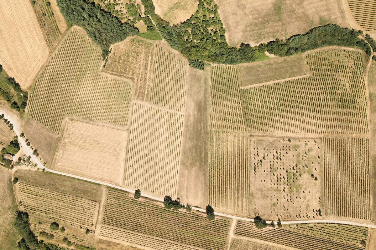 Fewer inputs, more profit, and more sustainability with remote sensing in agriculture