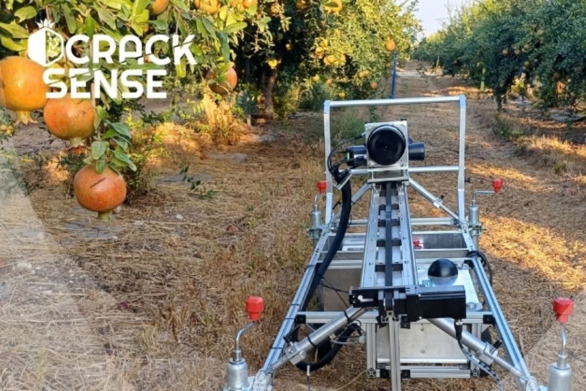 How edge computing is transforming agricultural monitoring