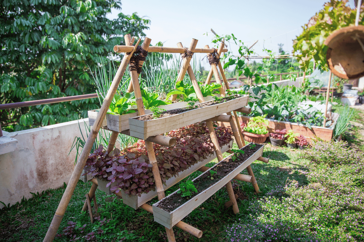 How home gardening bridges traditional farming and hydroponics