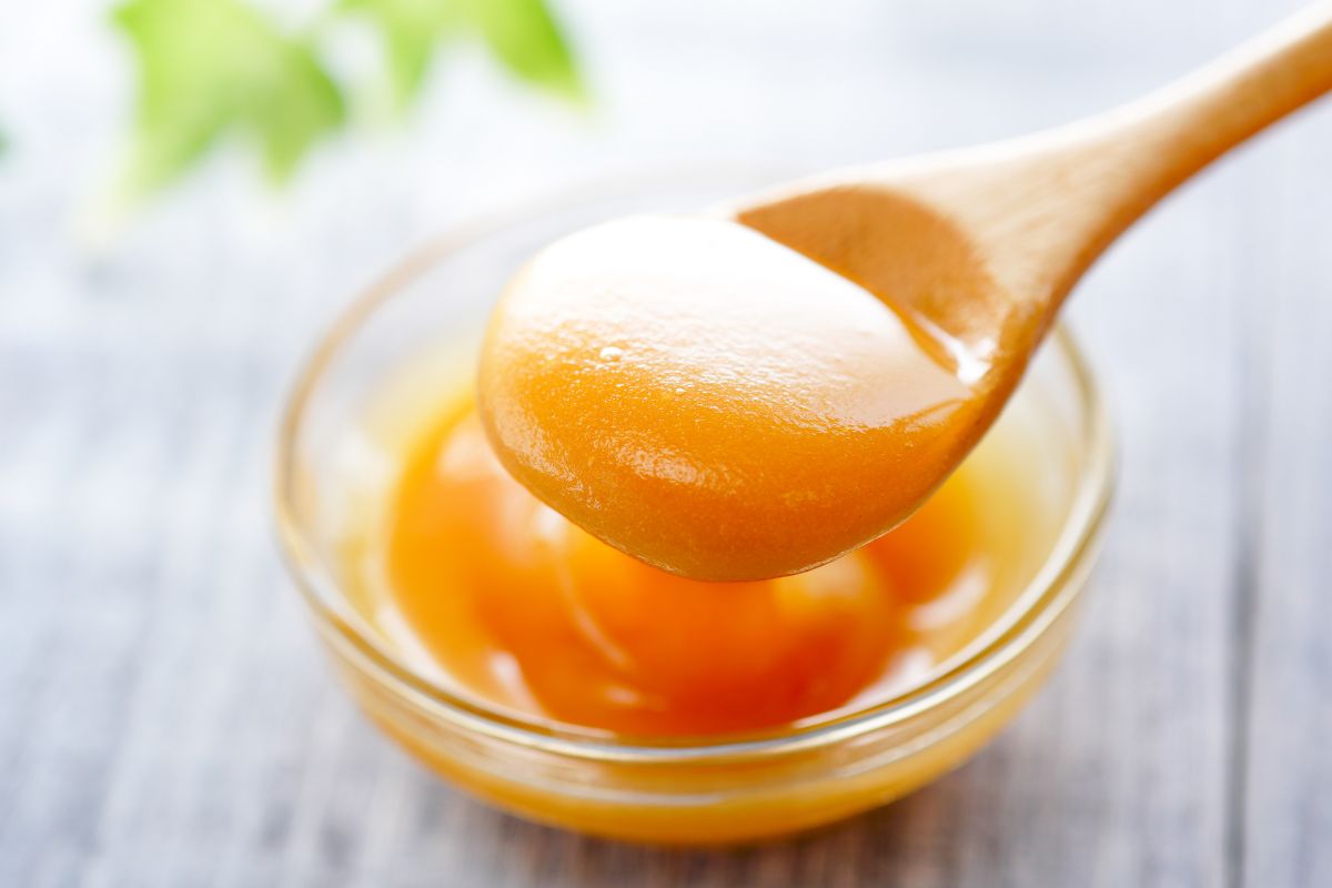 Manuka honey buyer's guide by Wikifarmer Manuka honey buyer's guide