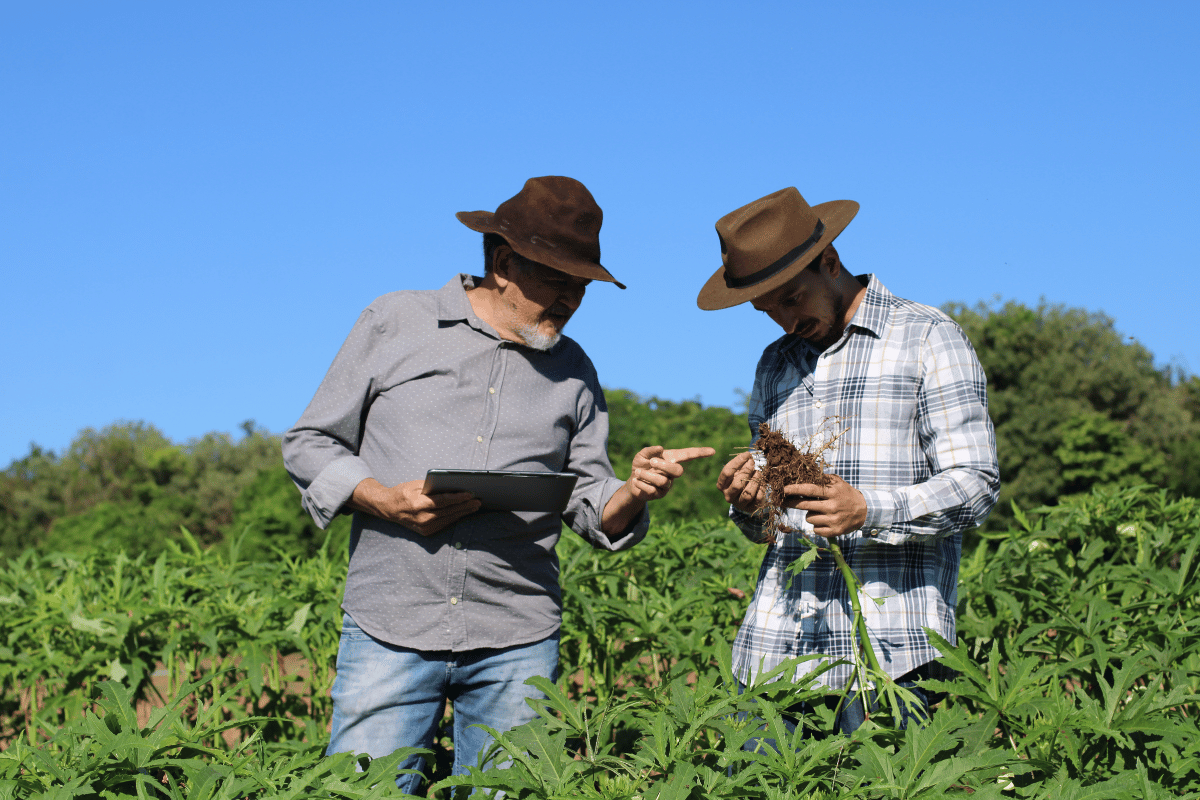 The challenges and benefits of combining agricultural technology with sustainability in Brazil The challenges and benefits of combining agricultural technology with sustainability in Brazil