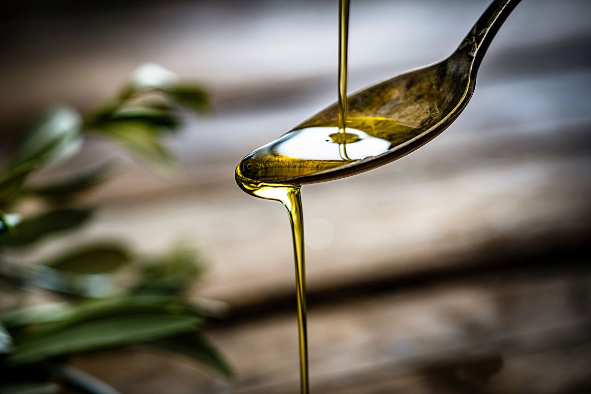 When is the best time to buy olive oil?