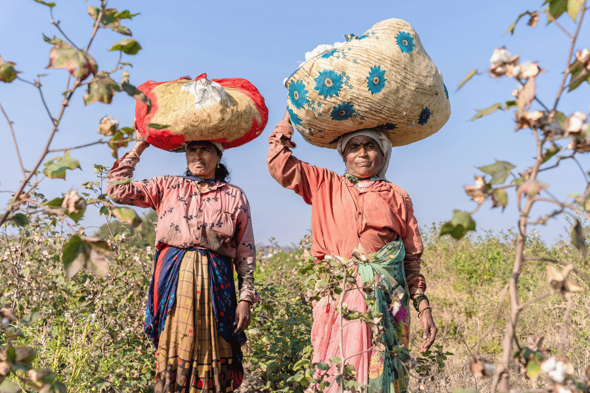 Women hold weaker land rights than men in most countries, and the law alone has not fixed it