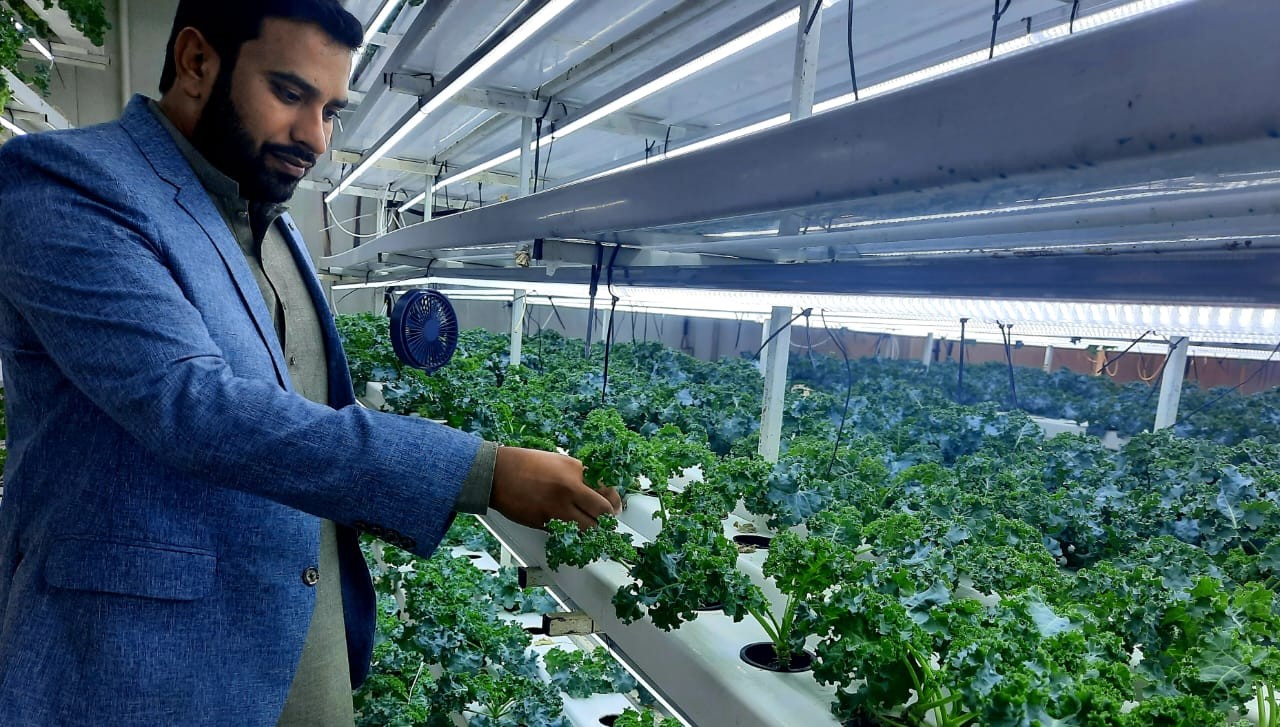 MENA bölgesi için dikey tarım teknikleri MENA bölgesi için dikey tarım teknikleri