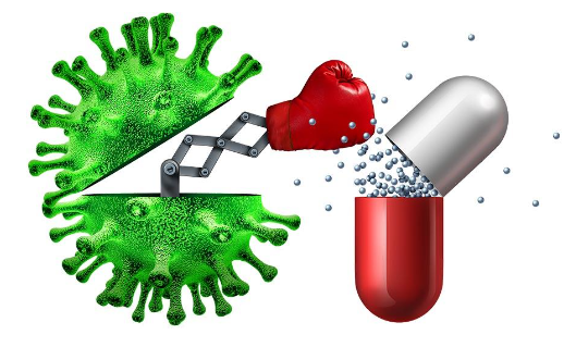 BSFL'nin Salmonella türlerine karşı etkisini gösteren bulgular BSFL'nin Salmonella türlerine karşı etkisini gösteren bulgular