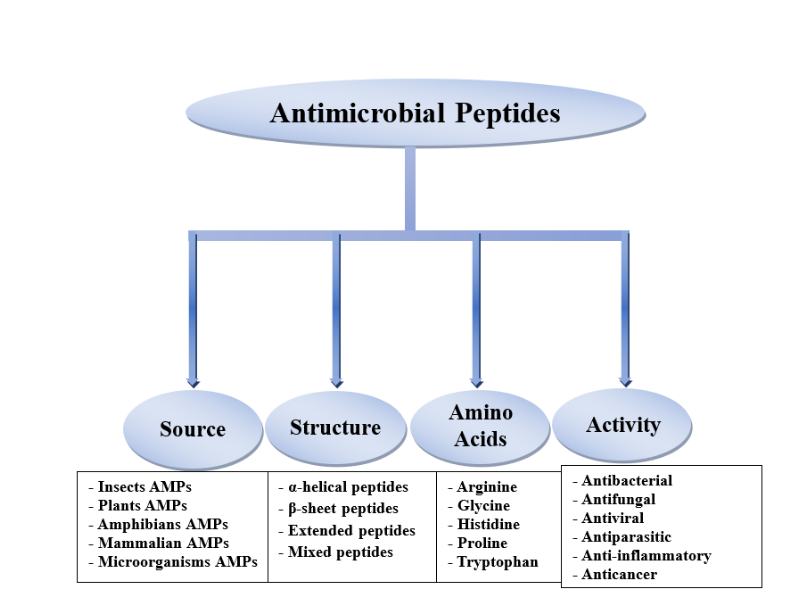 Antimikrobiyal peptit ailelerinin sınıflandırılması Antimikrobiyal peptit ailelerinin sınıflandırılması