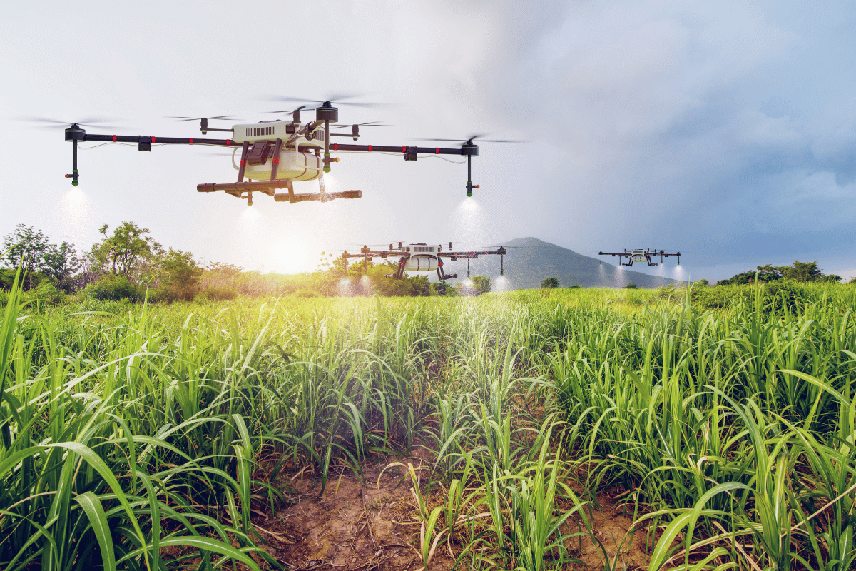 Five things to check before you invest in precision agriculture Five things to check before you invest in precision agriculture