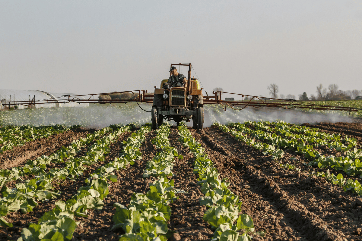 Πώς απορροφούν τα φύλλα τα θρεπτικά στη διαφυλλική λίπανση