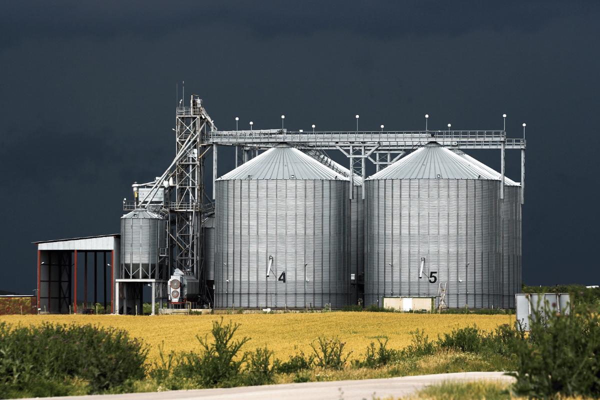 Most of the world's traded grain comes from a handful of countries Most of the world's traded grain comes from a handful of countries