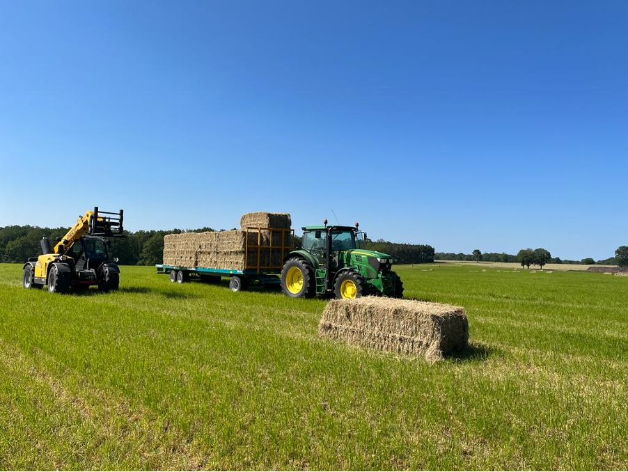 Produire un foin de graminées de qualité pour chevaux de sport quand le séchage devient plus difficile