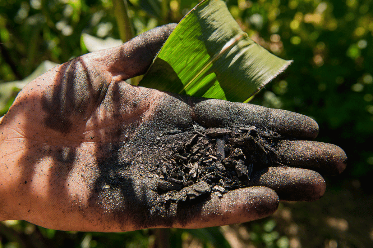 What African Dark Earths teach us about biochar for smallholder farms What African Dark Earths teach us about biochar for smallholder farms