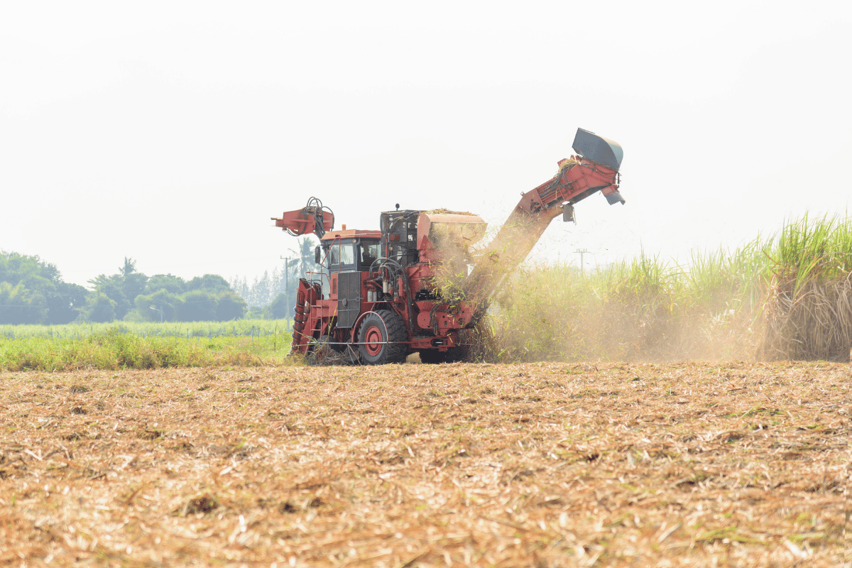 What four years of installing auto-steering on sugarcane tractors taught me What four years of installing auto-steering on sugarcane tractors taught me