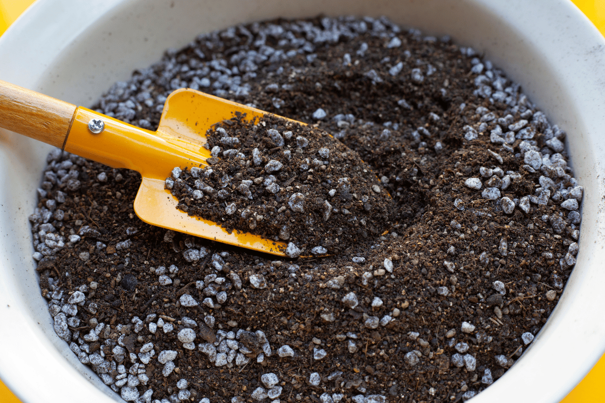 What potting mix is and how to choose the right blend What potting mix is and how to choose the right blend