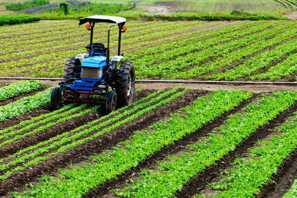 Why precision agriculture for smallholders should be a shared service, not a private machine Why precision agriculture for smallholders should be a shared service, not a private machine