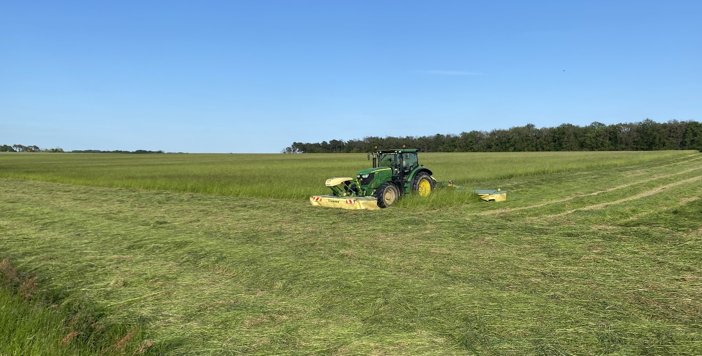 Producing quality grass hay for sport horses when drying gets harder