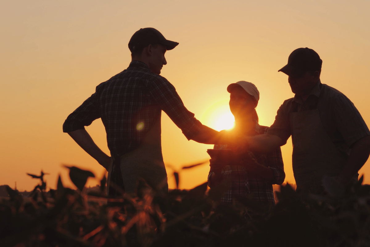 Agribusiness lessons that improve smallholder farm margins Practical agribusiness lessons that help smallholder farmers improve margins