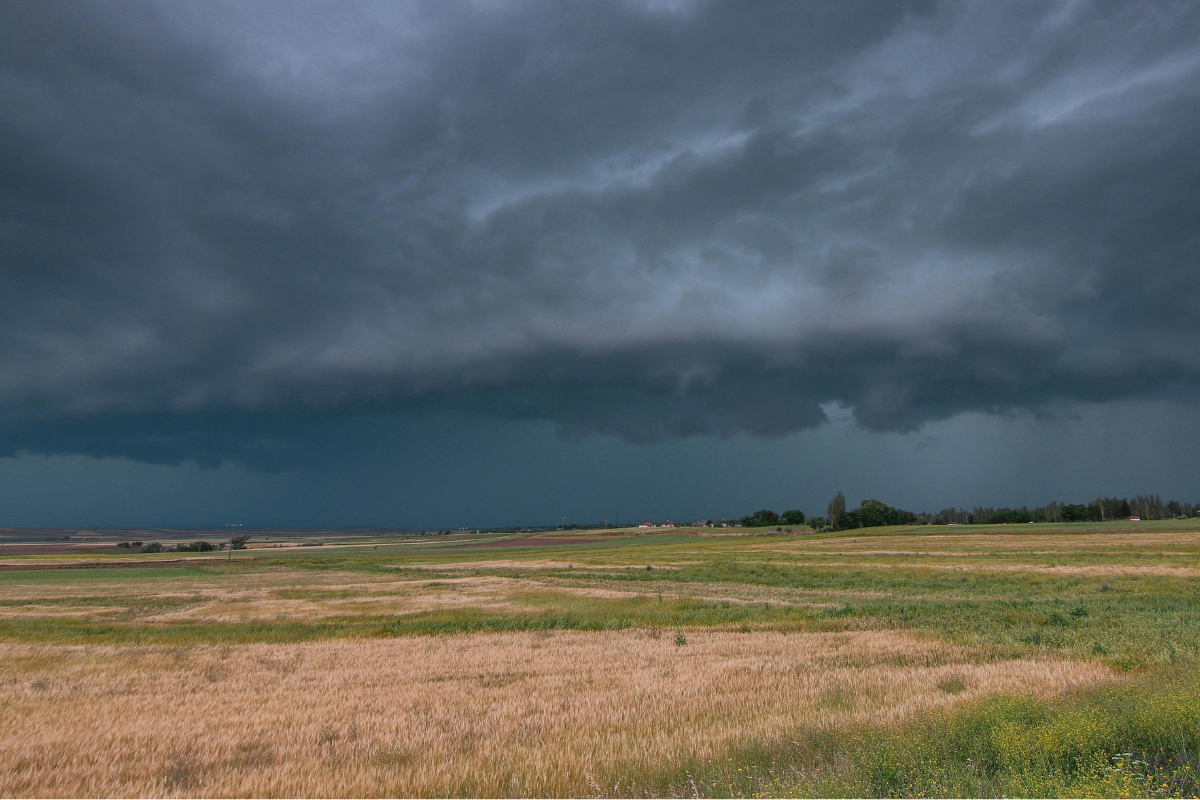 Can traditional weather indicators still compete with a weather app?