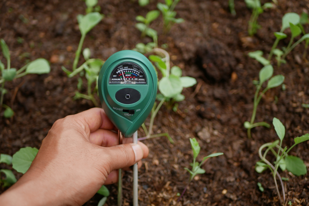 How metagenomics sharpens soil greenhouse gas measurement How metagenomics sharpens soil greenhouse gas measurement