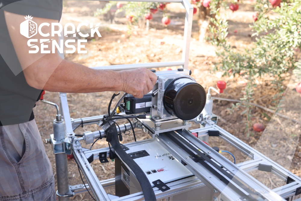 How a robotic scanner measures fruit stress one fruit at a time
