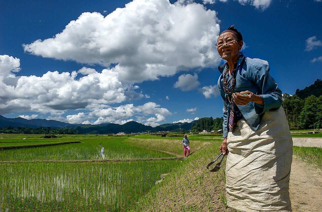 An elderly Apatani woman standing on a bund beside her rice field in the Ziro Valley