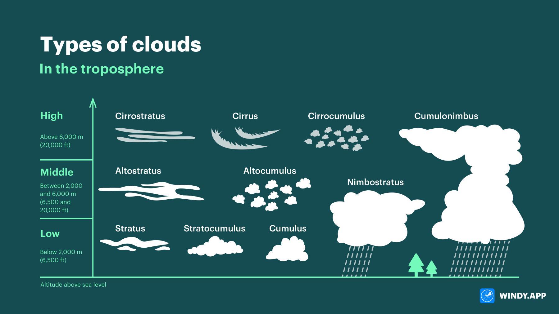 Windy.app infographic of the ten main cloud types by altitude, with cirrus, cirrocumulus and cirrostratus high, altostratus and altocumulus in the middle, stratus, stratocumulus and cumulus low, and rain from nimbostratus and cumulonimbus