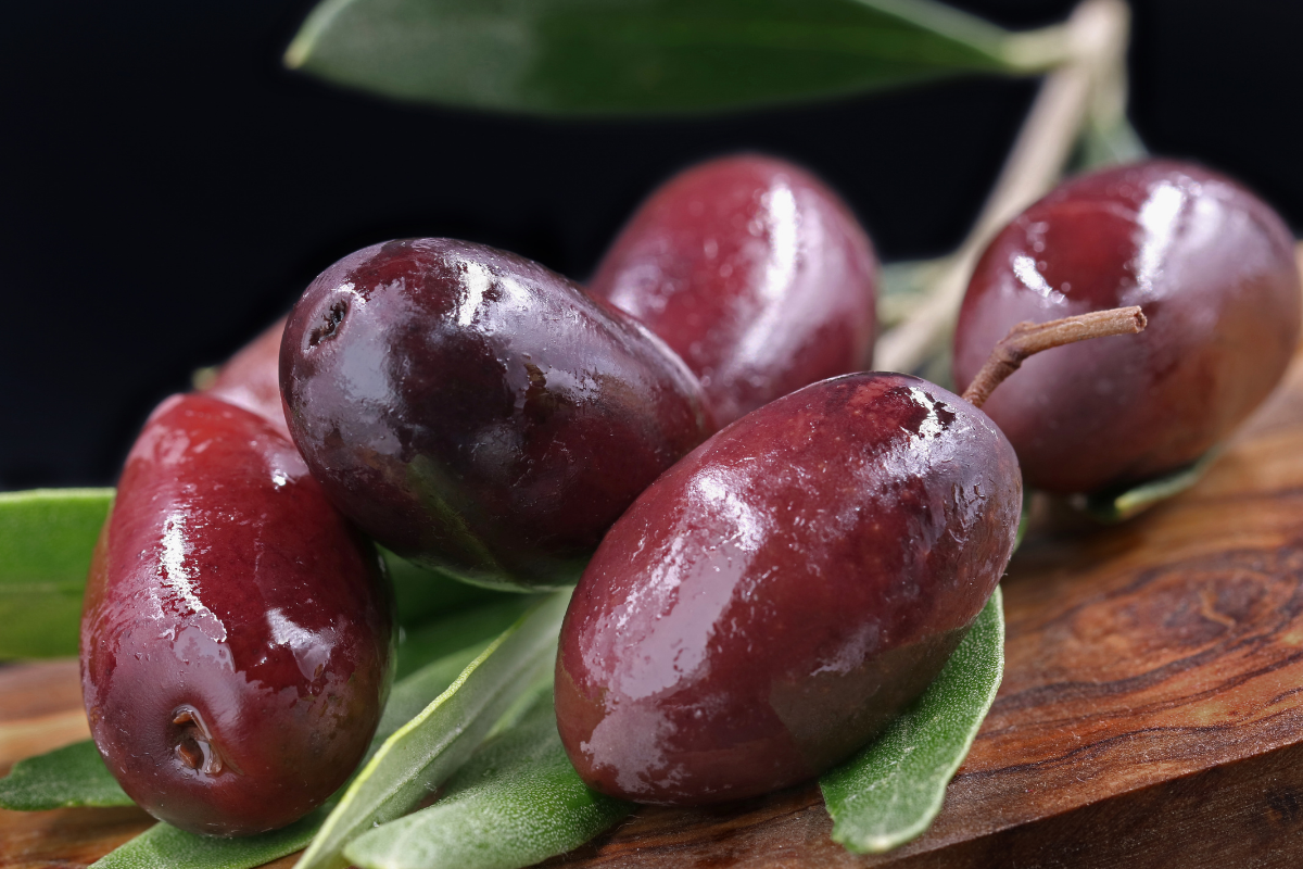 The Kalamon olive and its characteristics The Kalamon olive and its characteristics
