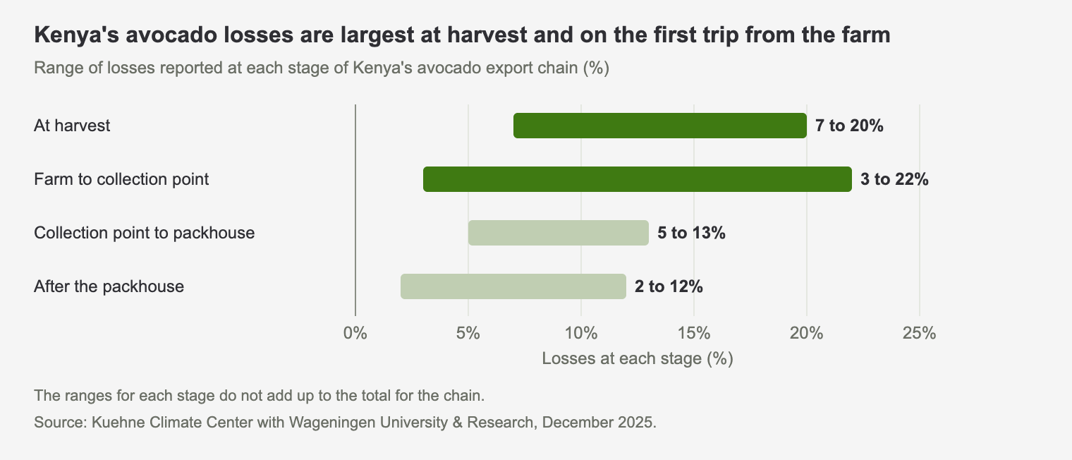 Range chart of avocado losses at each stage of Kenya's export chain: 7 to 20% at harvest, 3 to 22% from farm to collection point, 5 to 13% to the packhouse and 2 to 12% after it