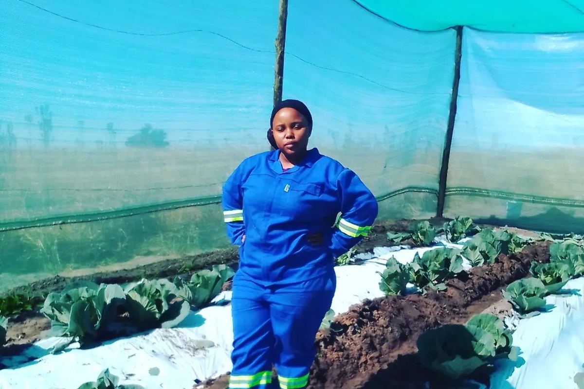 Pearl standing inside the net shade house among rows of cabbages planted through white plastic mulch