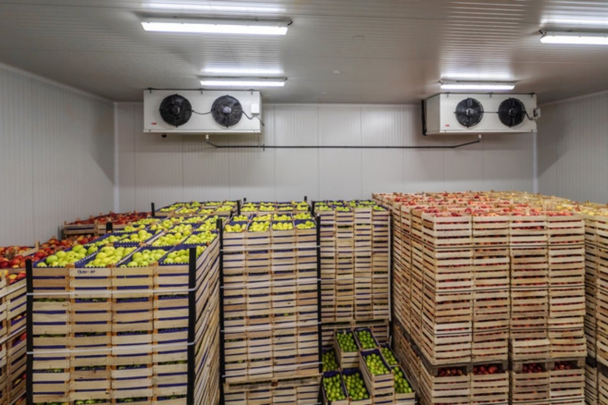 Stacked wooden crates of fruit in a cold storage room with cooling units