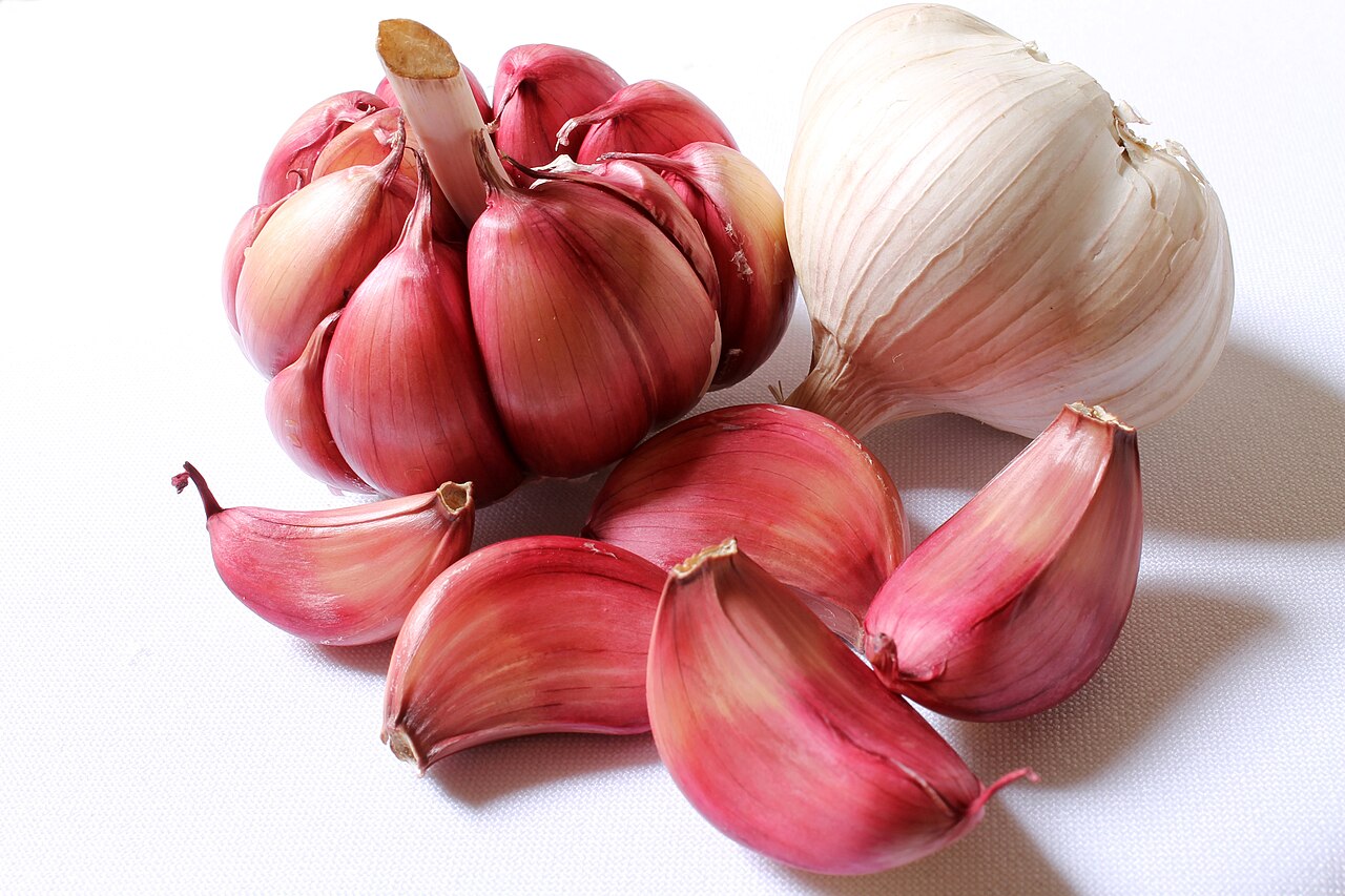 Garlic bulb with purple-streaked wrappers beside separated pink-tinged cloves