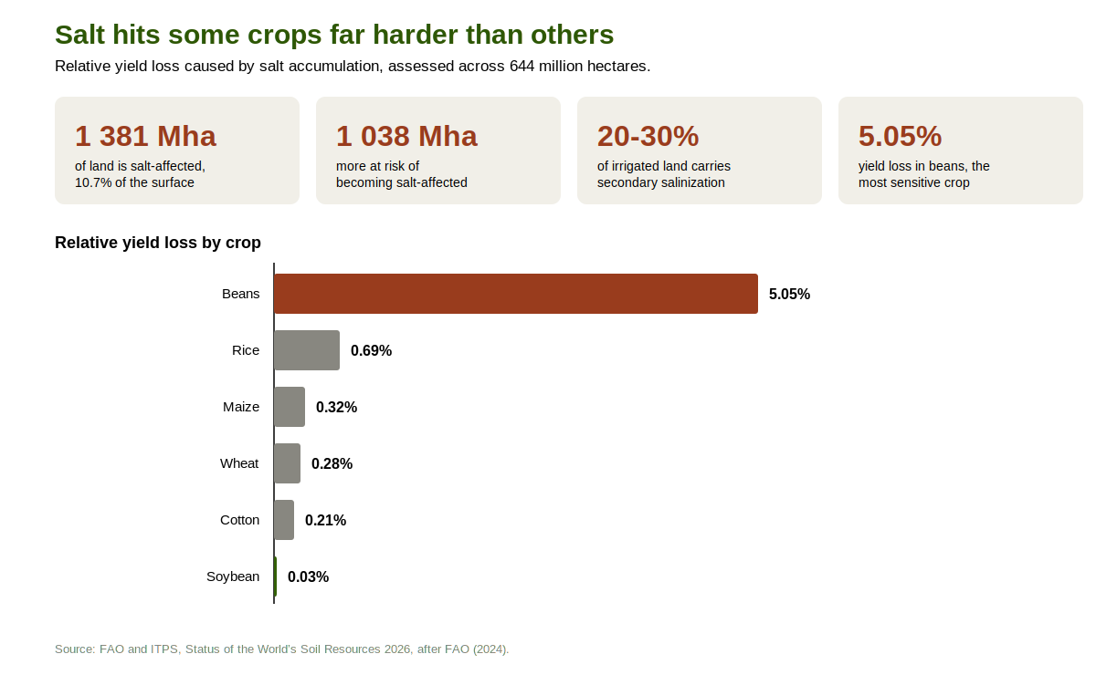 soil-salinity-crop-losses.png