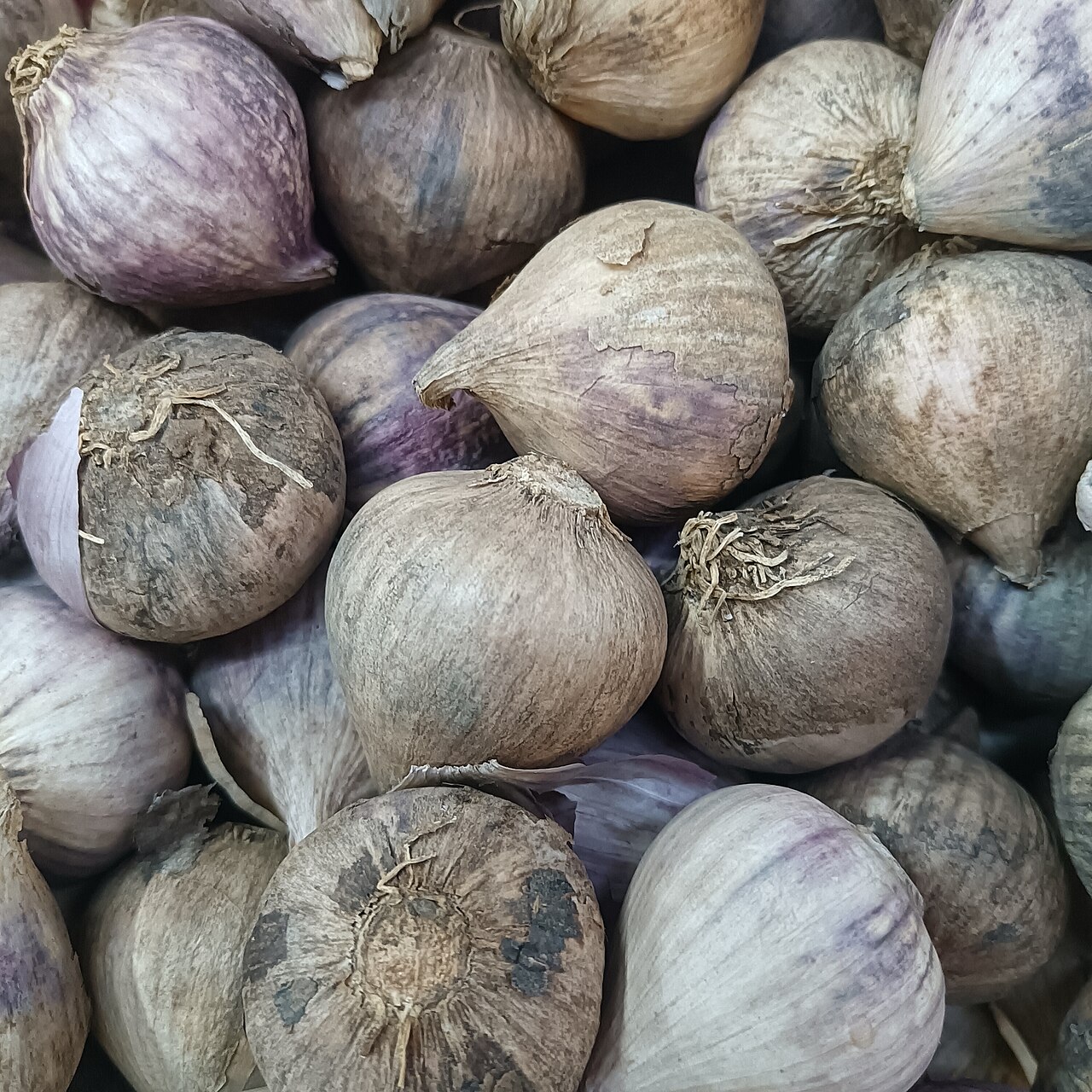Pile of single-clove garlic bulbs with papery purple-tinged skins