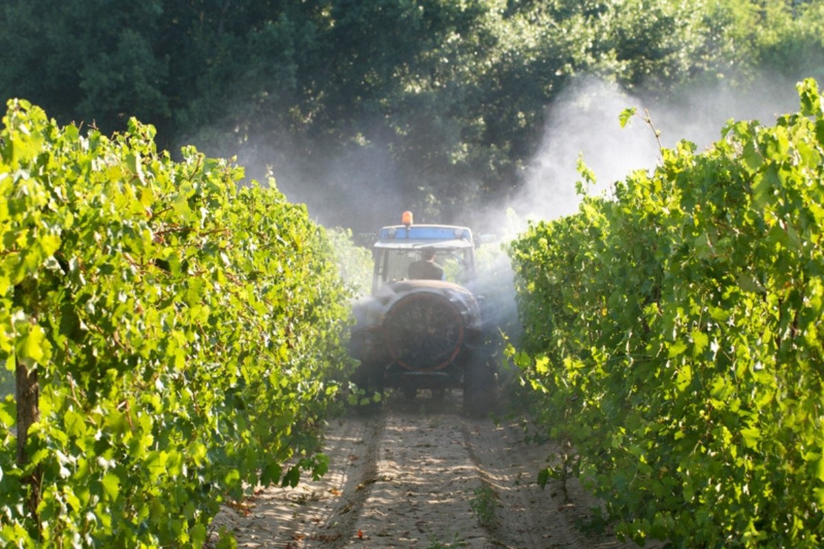 Tractor sprayer applying a fine mist between rows of vines