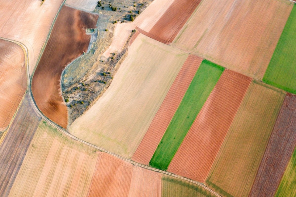 Aerial view of a patchwork of arable fields Can you build your own crop production model?