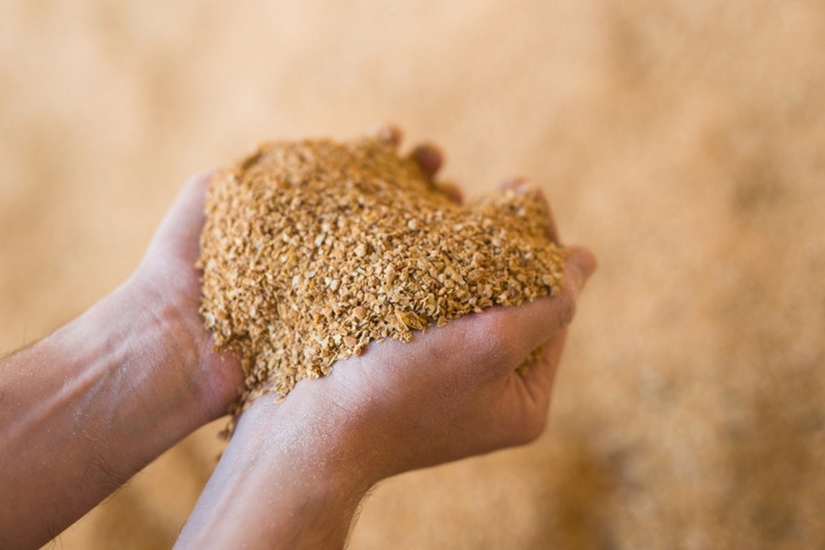 Hands holding a scoop of ground feed ingredient