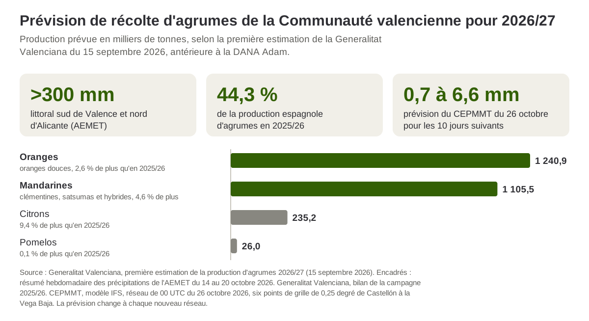 Production prévue d'oranges, de mandarines, de citrons et de pomelos dans la Communauté valencienne pour 2026/27