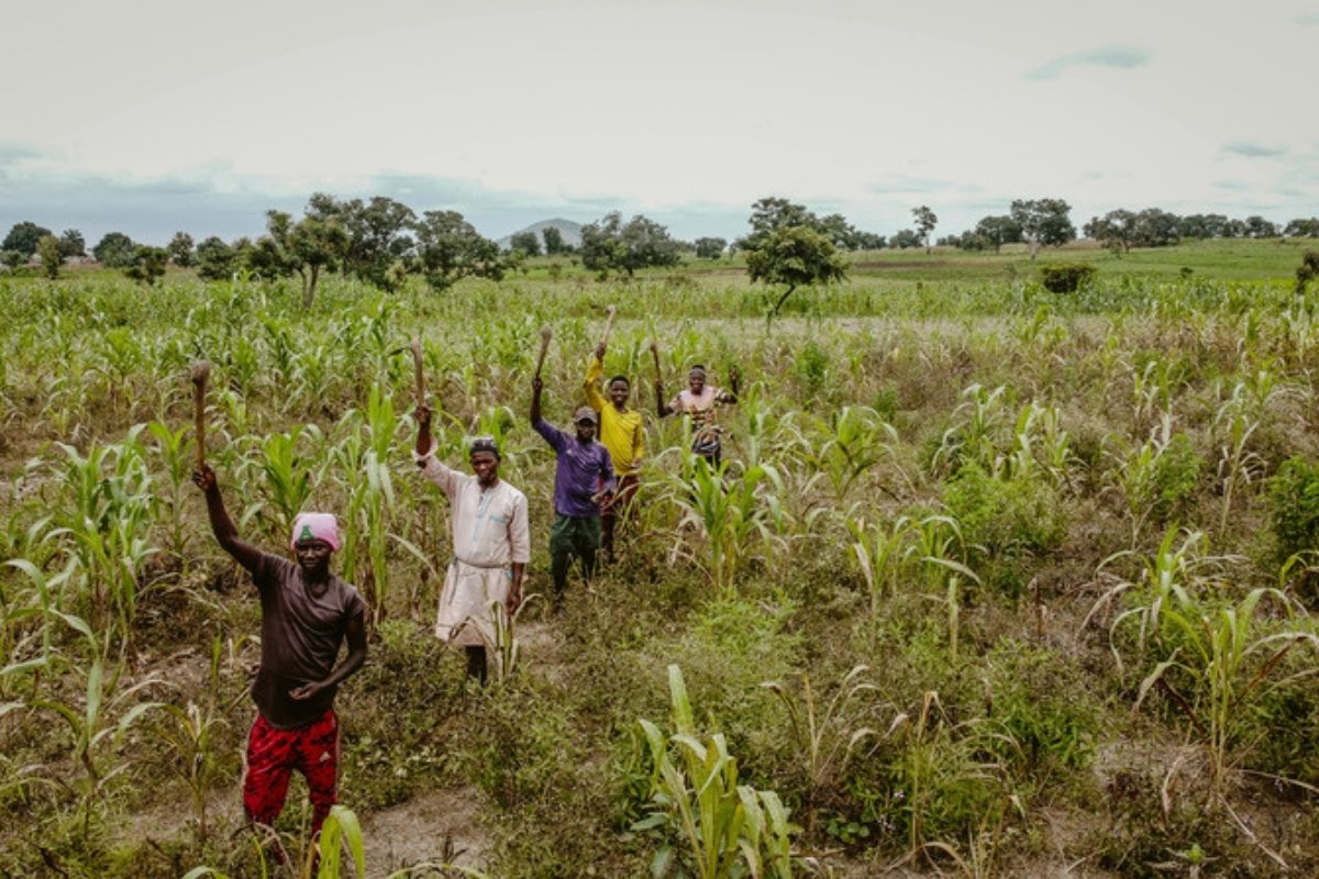 A group of farmers stand in a field of young cereal crops and raise their hoes, with trees and hills behind them