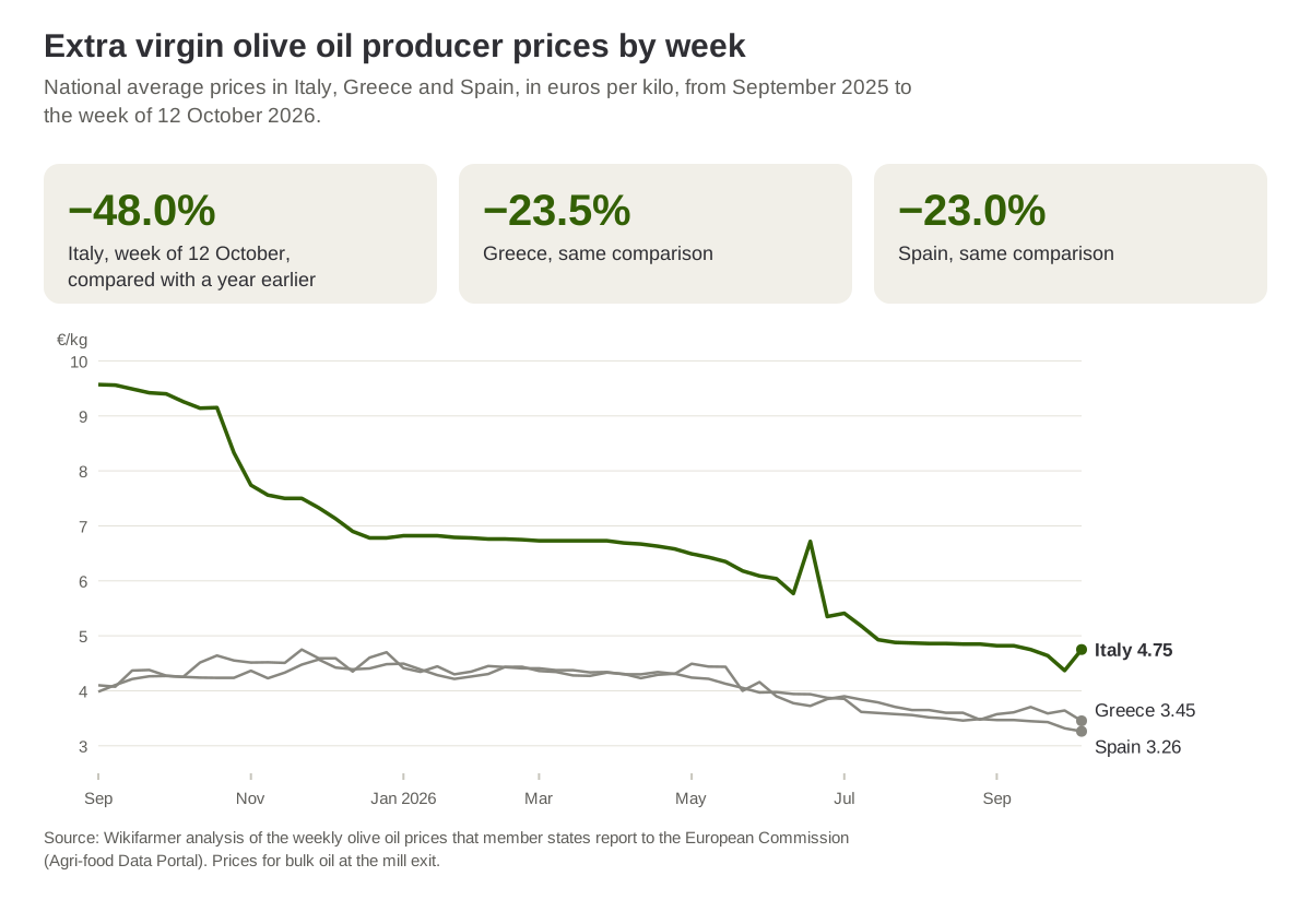 Weekly producer prices of extra virgin olive oil in Italy, Greece and Spain from September 2025 to October 2026