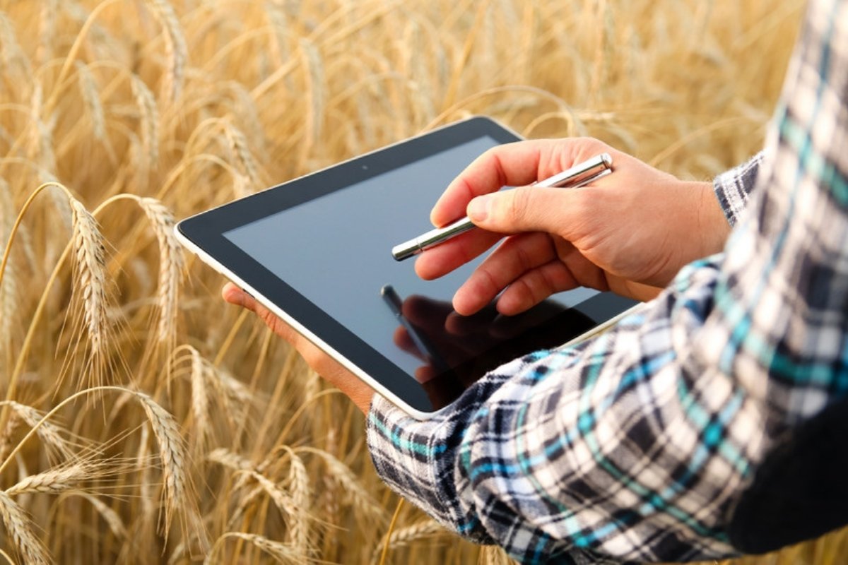 Mano con pennino su un tablet davanti a un campo di cereali maturi