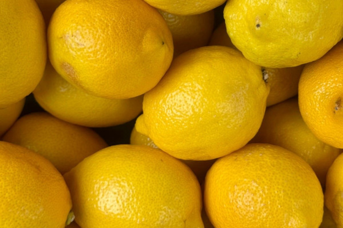 Limones amarillos frescos amontonados El precio del limón a la salida del centro de embalaje en 2026 es el más alto desde 2011